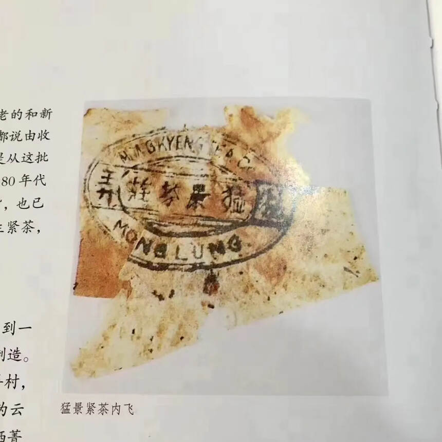 90年代勐景茶庄，蘑菇沱，干仓存放。#普洱茶# #普