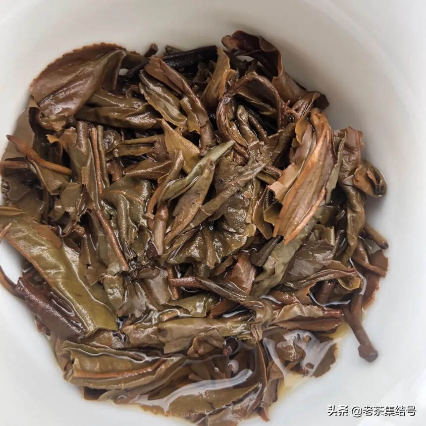 98年南糯山野生饼生茶，中茶出品干仓老茶！