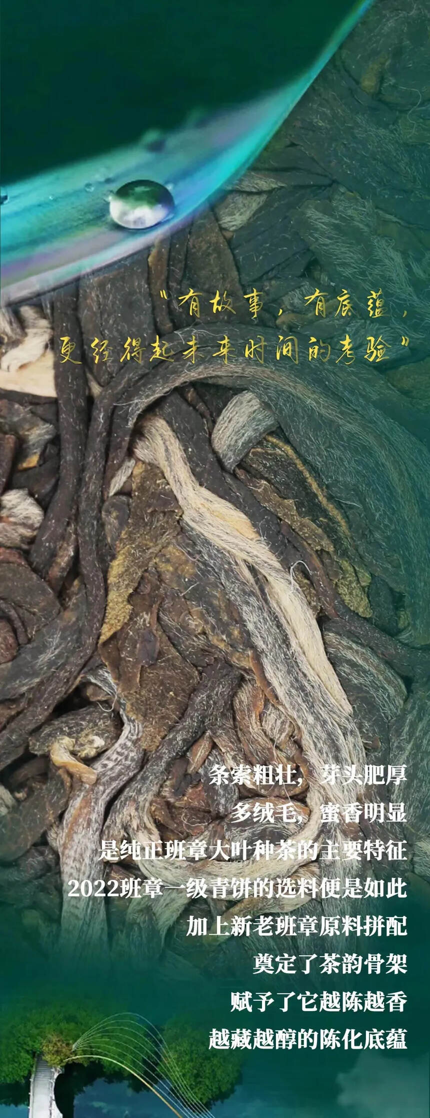 2000年今大福创始人借用勐海茶厂制作的班章一级青饼