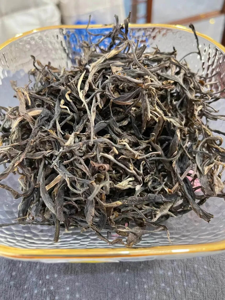 2017年缅甸野人山古树茶，大叶种茶条索粗壮，芽头肥