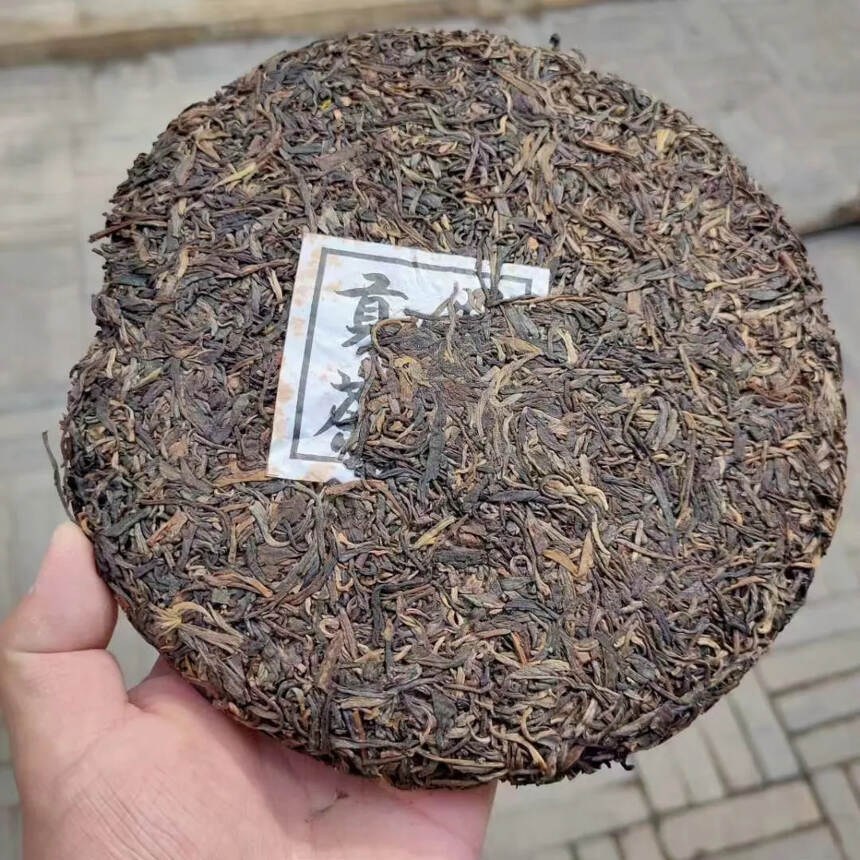 少量分享，普洱茶生茶2014年普文茶厂特级貢茶400