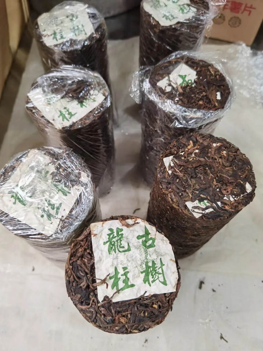 04年班章古树龙柱#广州头条# #普洱茶# #茶生活