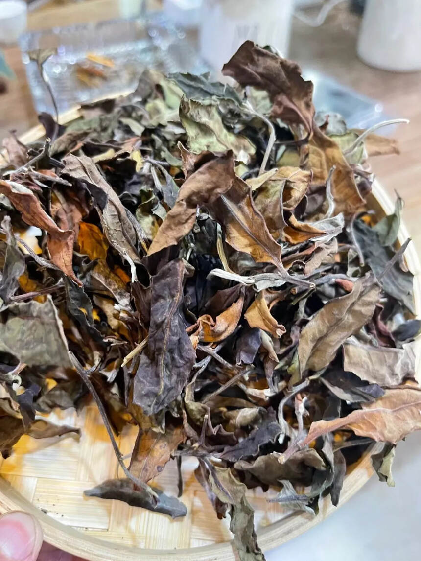 2020年帕沙古树白茶。点赞评论送茶样品试喝。#普洱