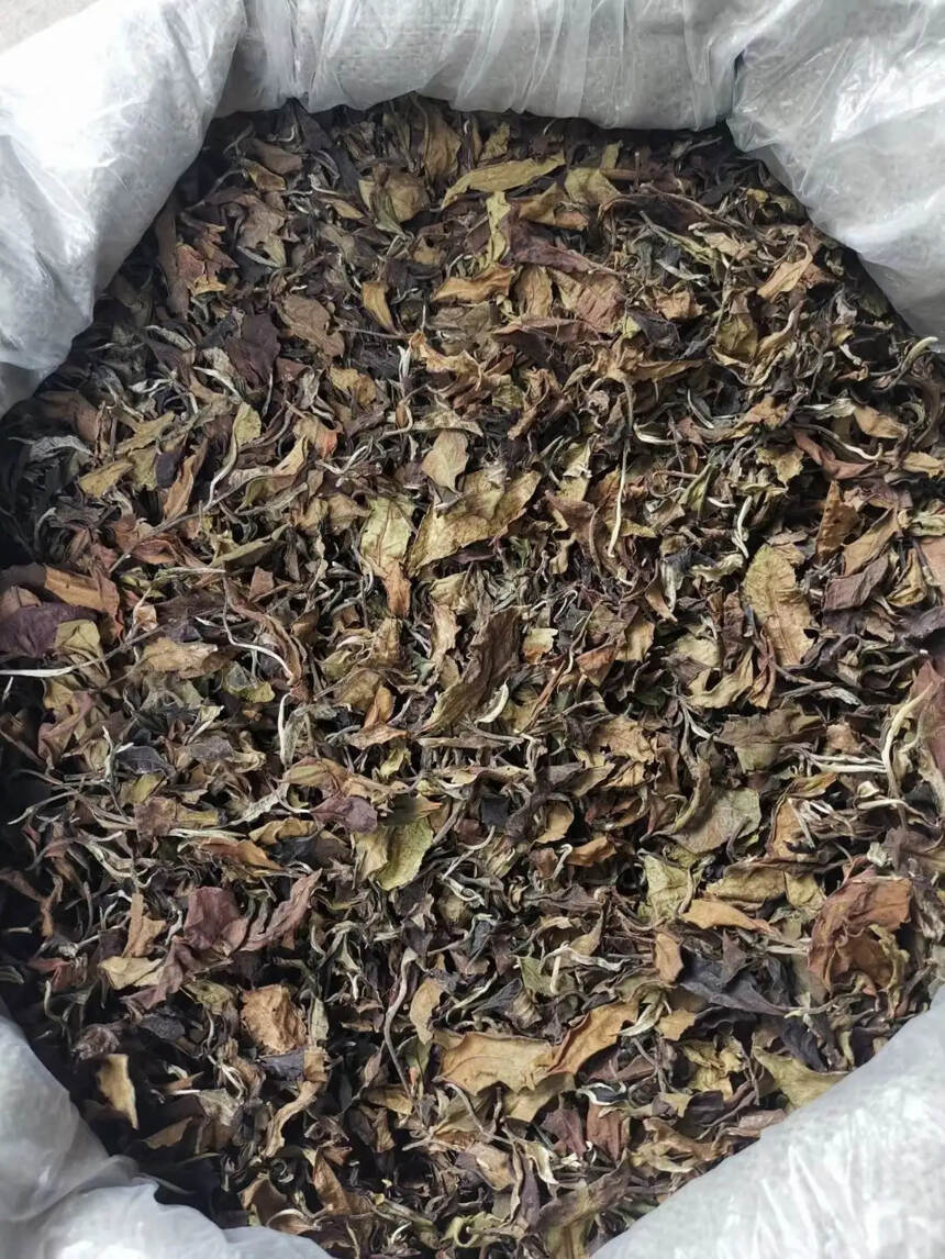 2019年曼西良大树白茶 。点赞评论送茶样品尝#茶#