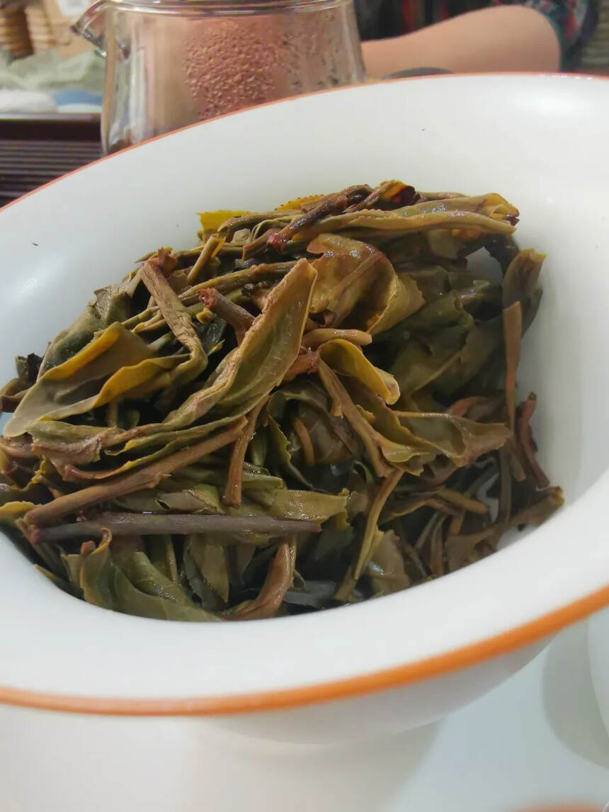 2019年班盆古树茶树干粗壮。#普洱茶# #茶生活#