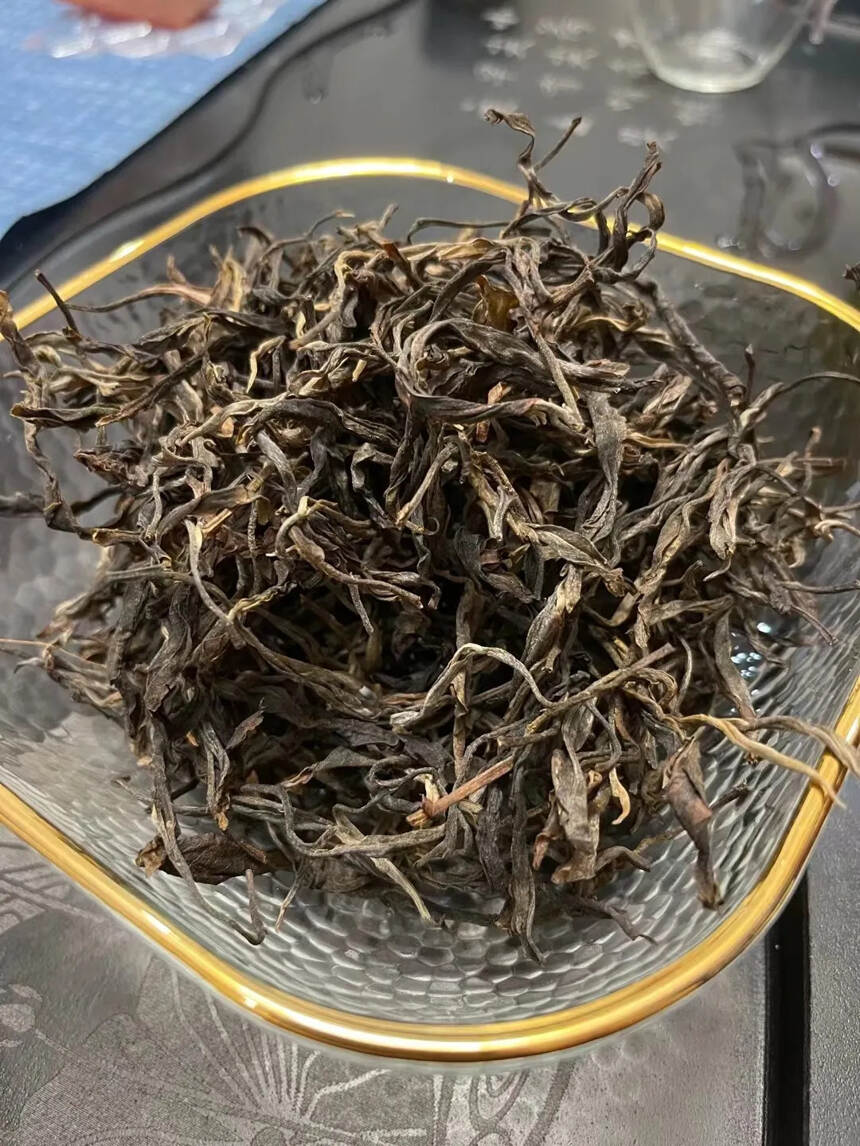 2017年缅甸野人山古树茶，大叶种茶条索粗壮，芽头肥