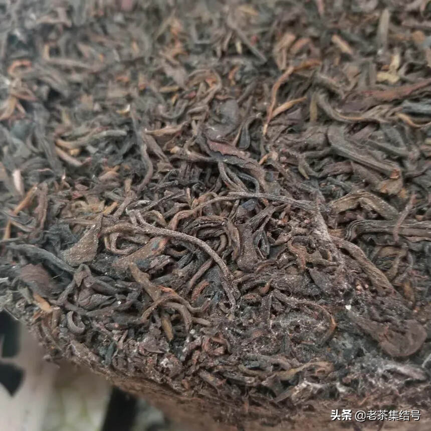 樟香竹筒茶