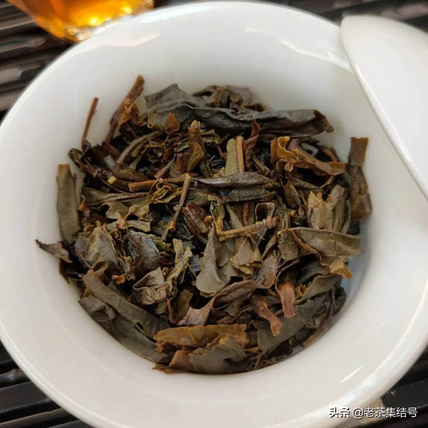 02年凤庆香竹箐茶王树，老粽包