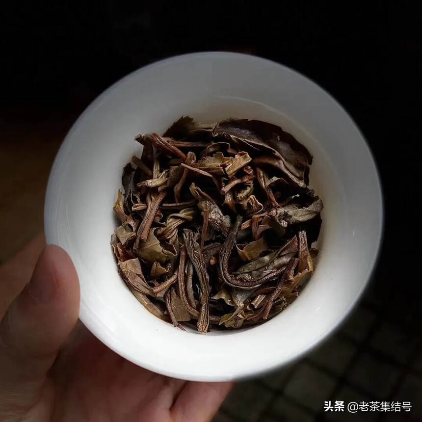 2002年千家寨
          千年古茶王