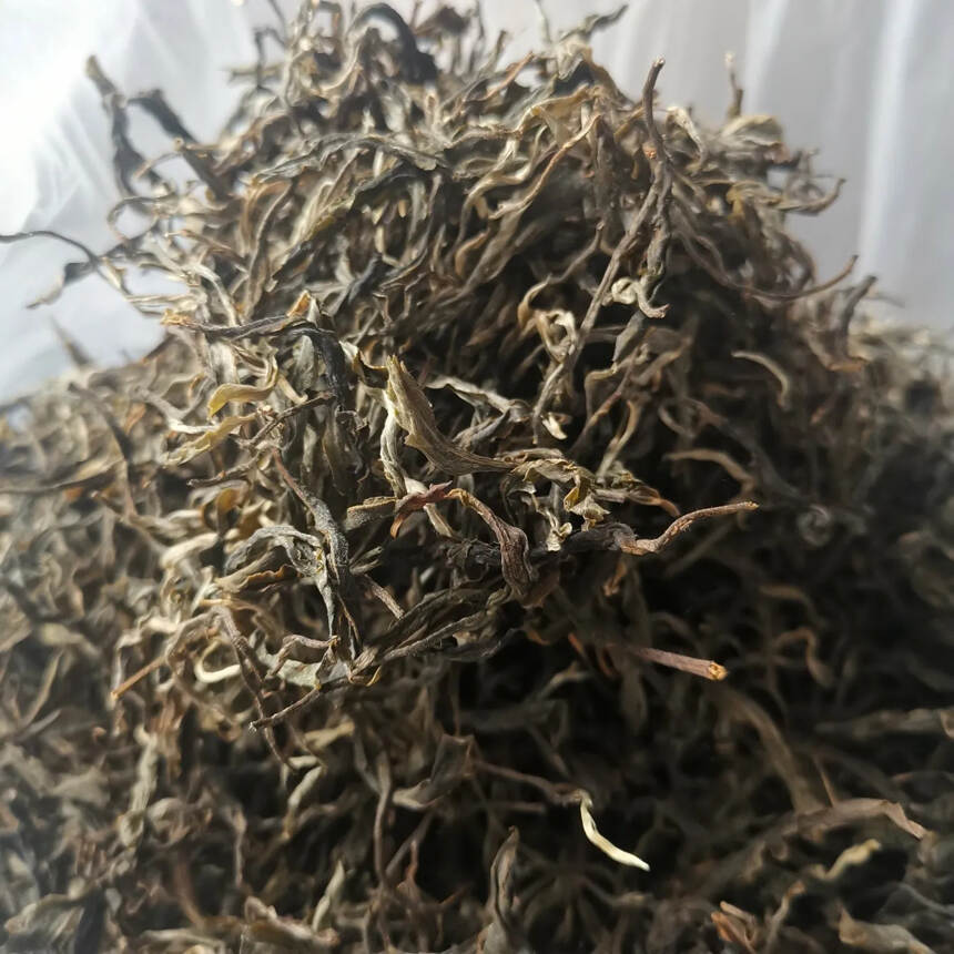 南糯山半坡老寨古树茶秋茶，环境生态，口感更优质