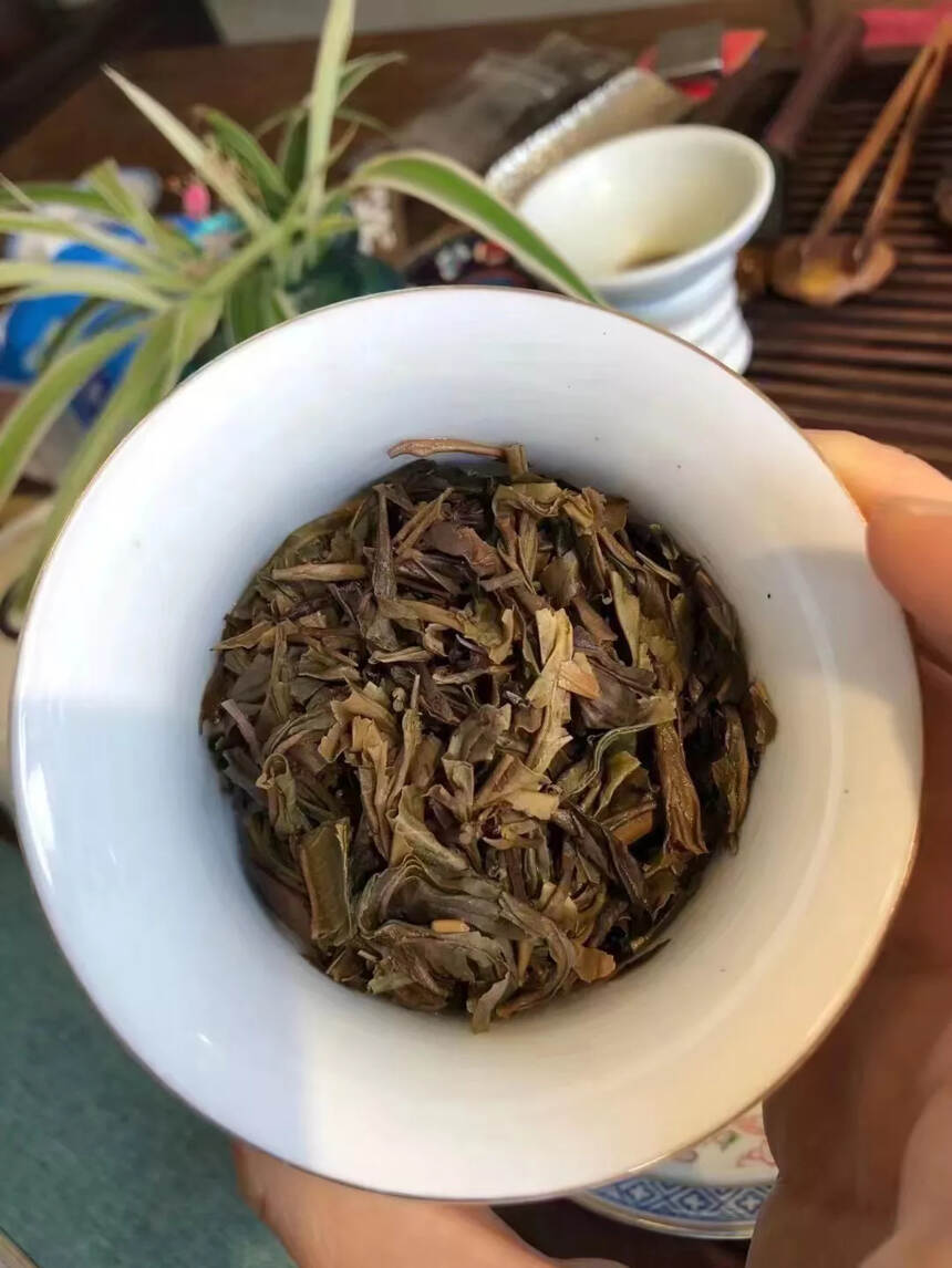 02年易武斗茶大会，茶汤甜柔醇厚，甜而有回甘，铿锵有