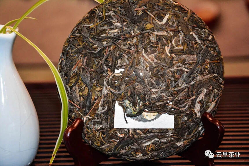 #八角亭# 困鹿山皇家古茶是野生型、过渡型、栽培型共