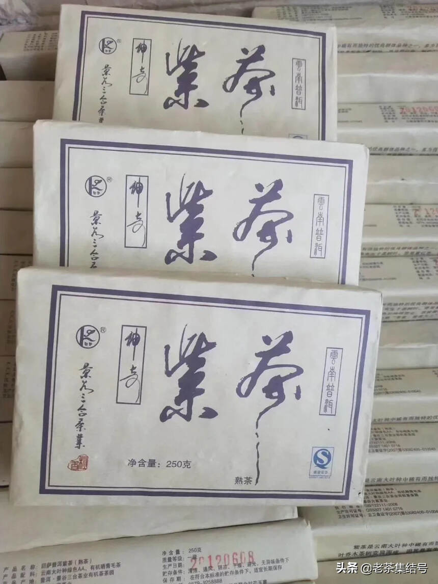 神奇紫茶，紫芽茶