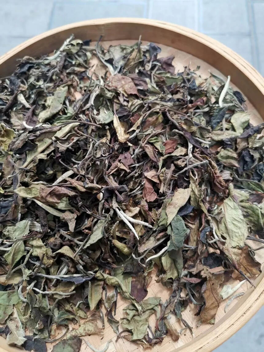2019年曼西良大树白茶 。点赞评论送茶样品尝#茶#