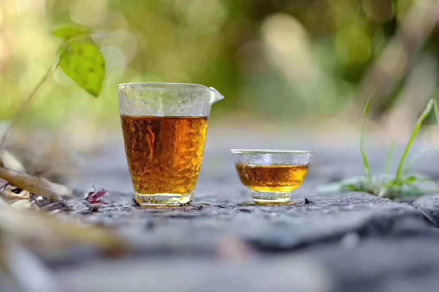 蜜香金螺滇红茶。#普洱茶# #普洱# #茶生活#