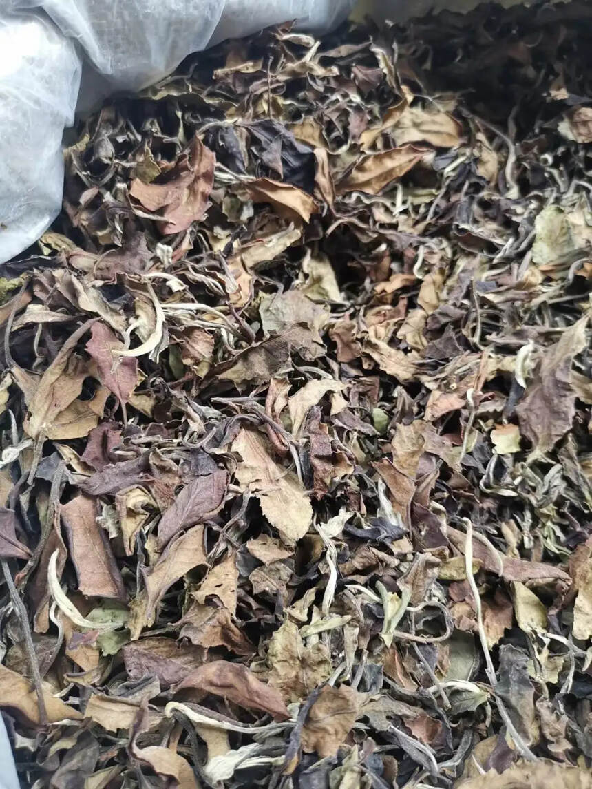 #普洱茶# 2019年曼西良大树白茶。