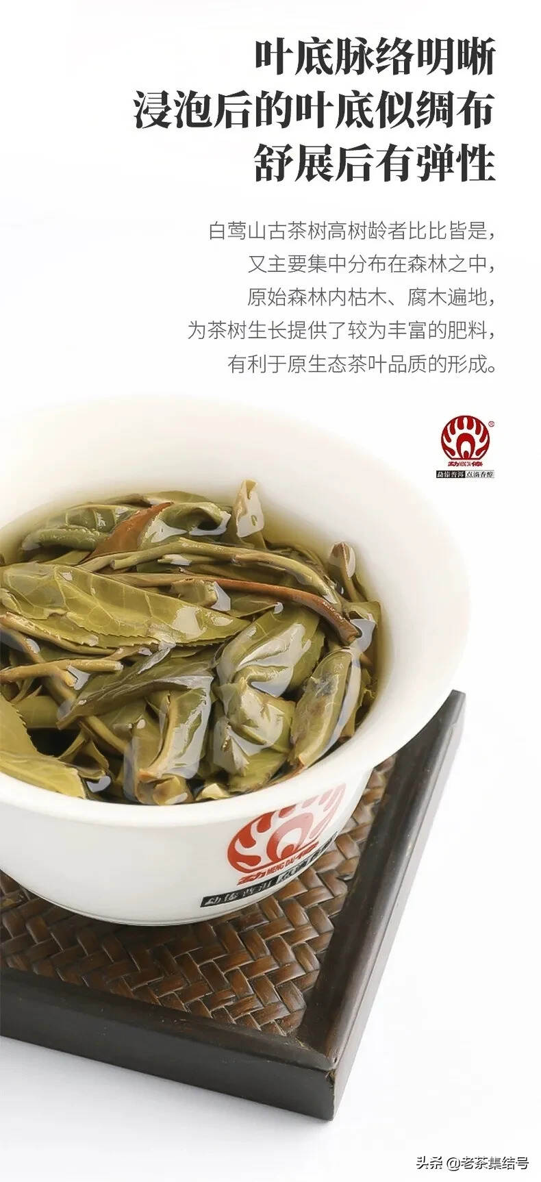 白莺山古树茶 云南普洱茶生茶饼