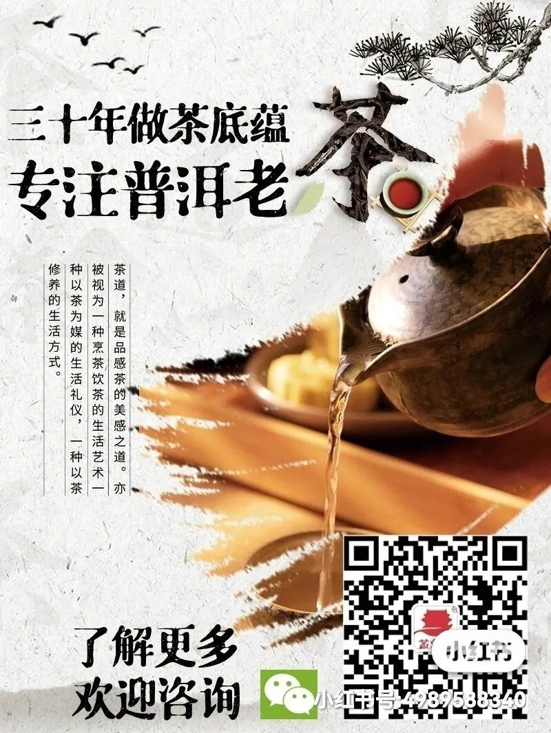 2021年广别老寨的春茶#你们都喜欢喝什么品牌的普洱