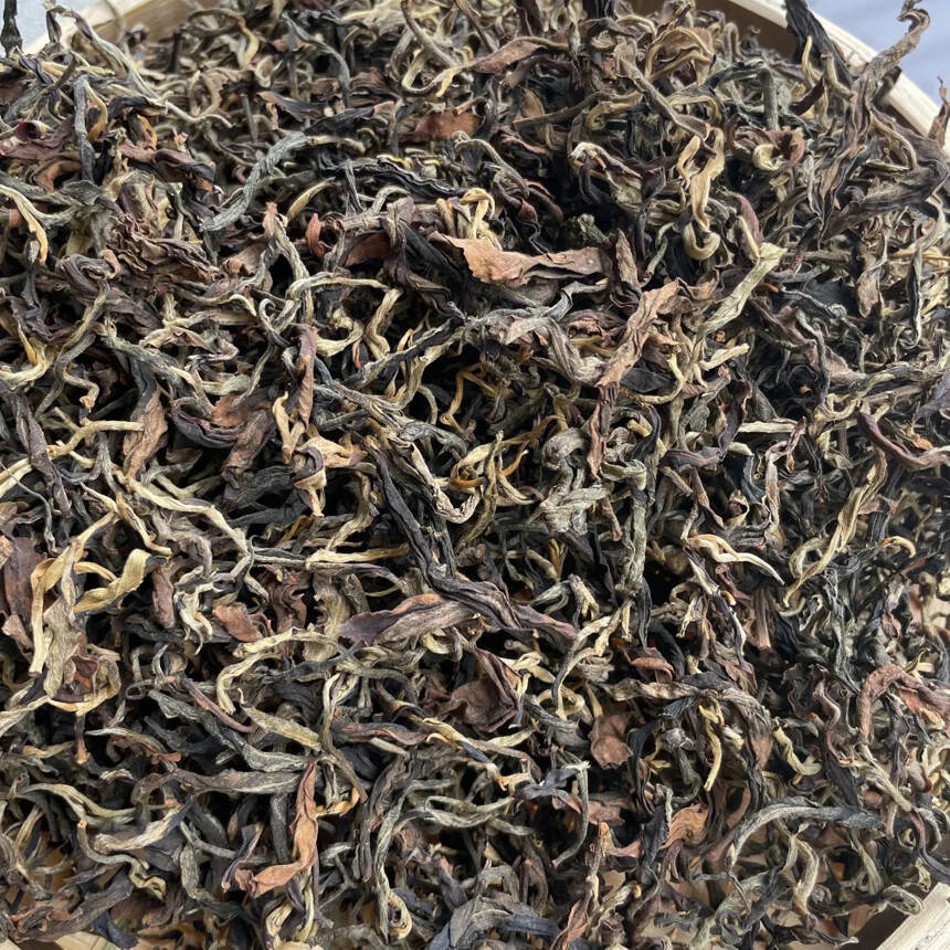 新茶严选：2021年帕沙乔木红茶，香浓甜足。好茶性价