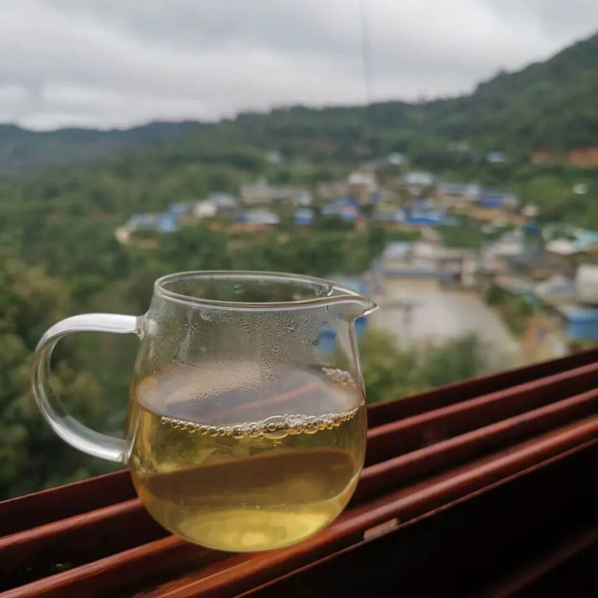#普洱茶# 2021年那卡秋茶散料，大小叶种混生。