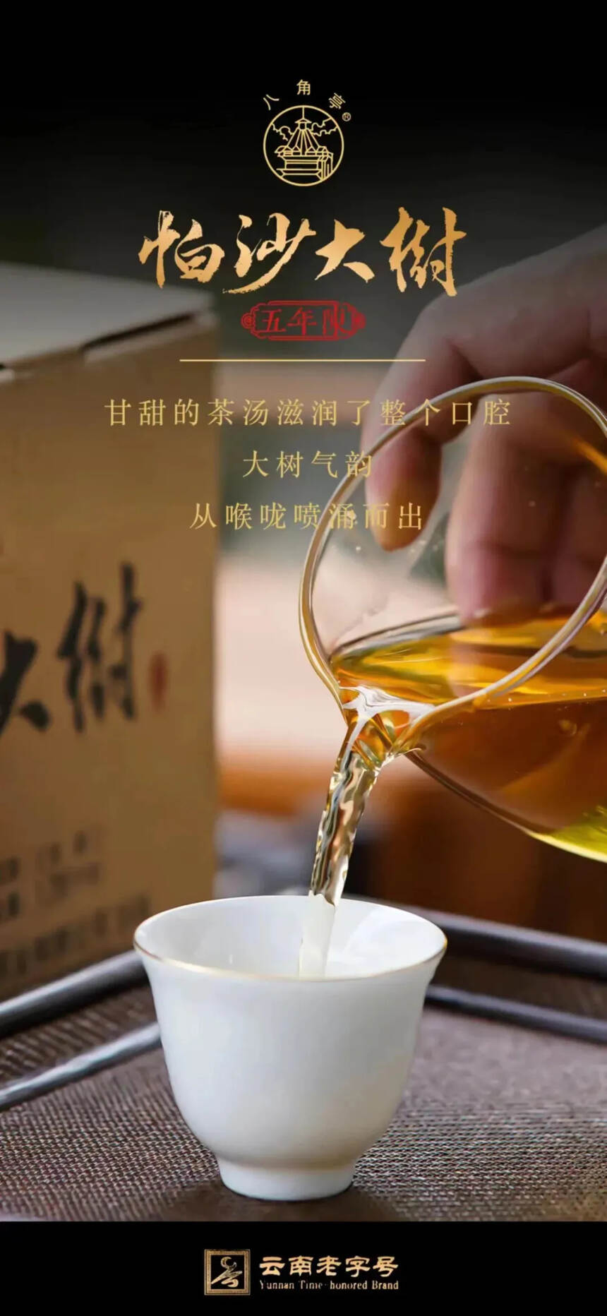 八角亭帕沙大树茶
精选帕沙五年陈明前春茶精制而成。