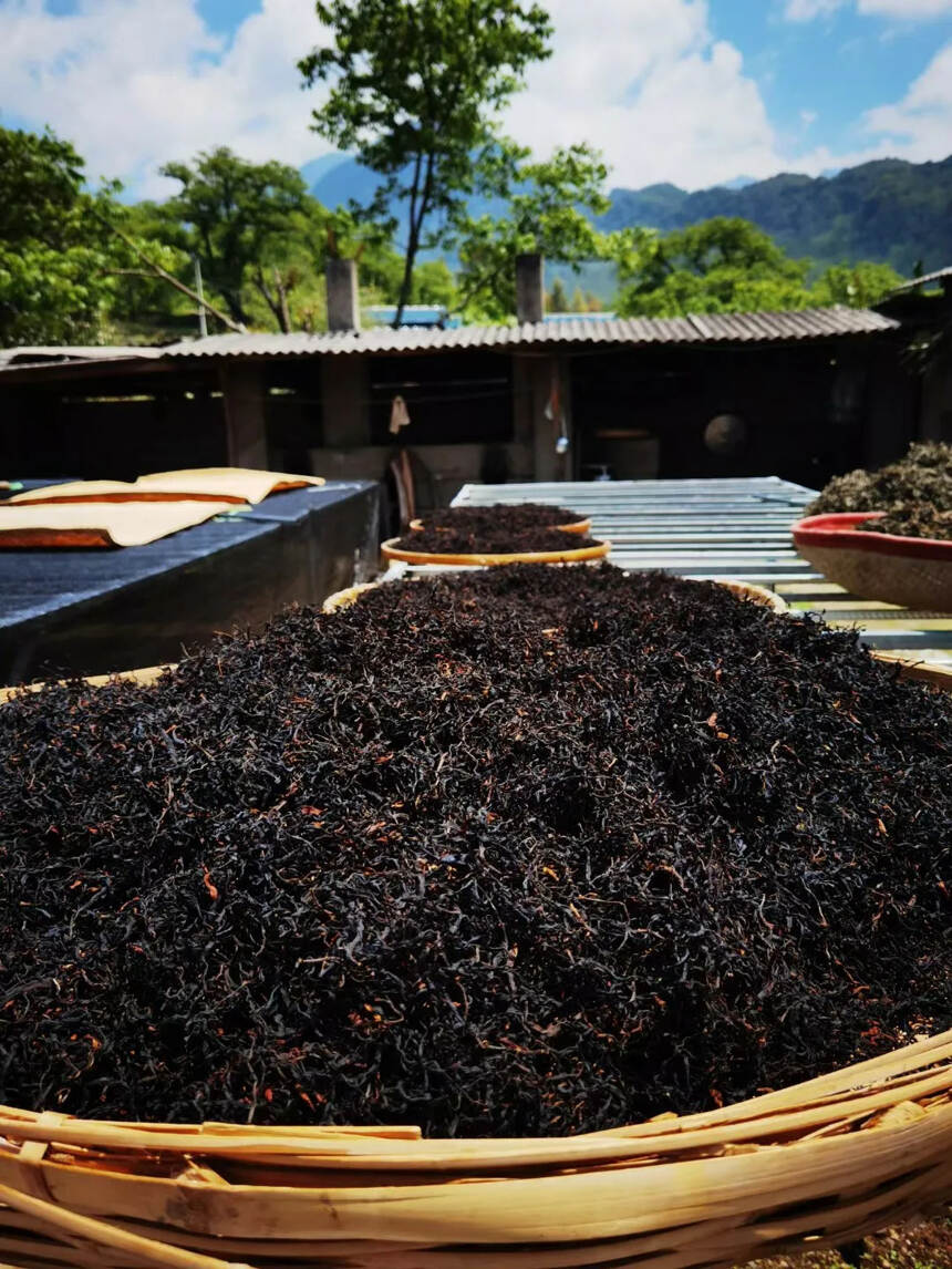 严选新茶…无量山野生晒红
内涵物质丰富，喉韵深，甜度