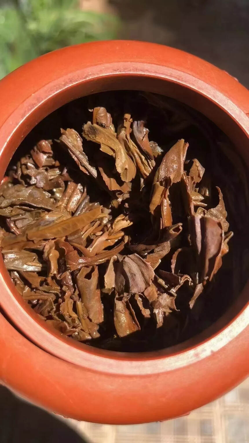 九十年代末同昌黄记圆茶  
采用易武倚邦乔木大树茶，