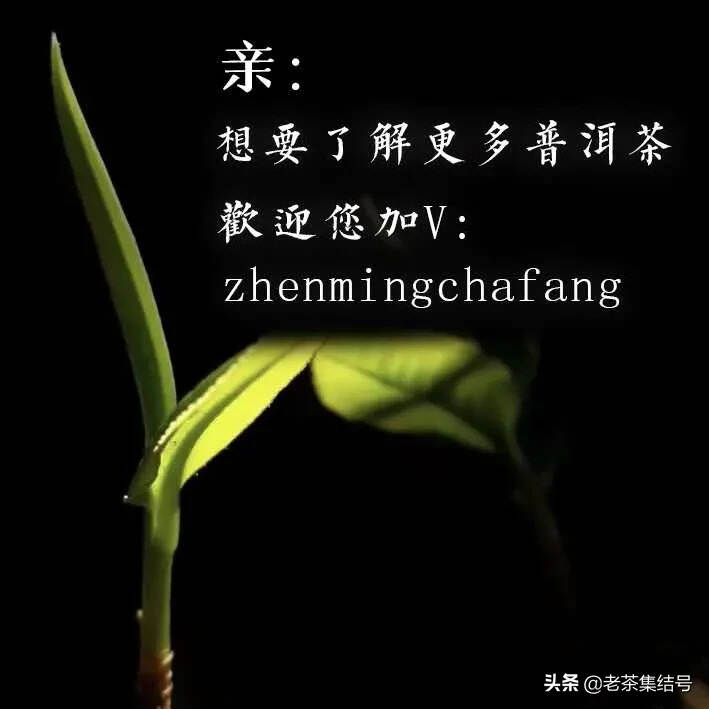 2005年春班章王
早期南嶠茶厂出品，红丝带