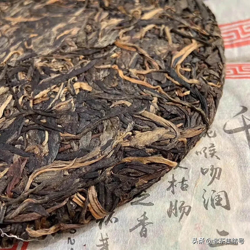 2002年千家寨
          千年古茶王