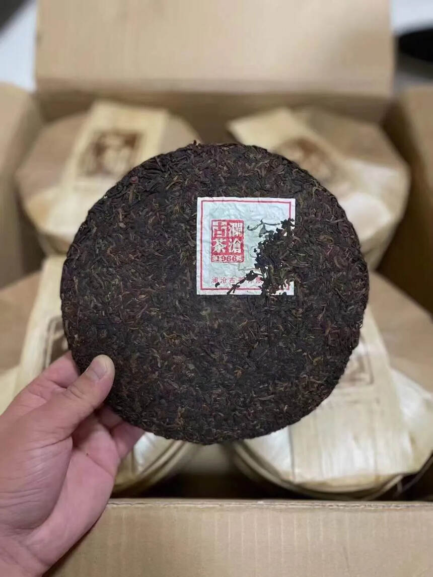 澜沧古茶15年醇香大饼，带有独特而明显的黑糖炭蜜香，