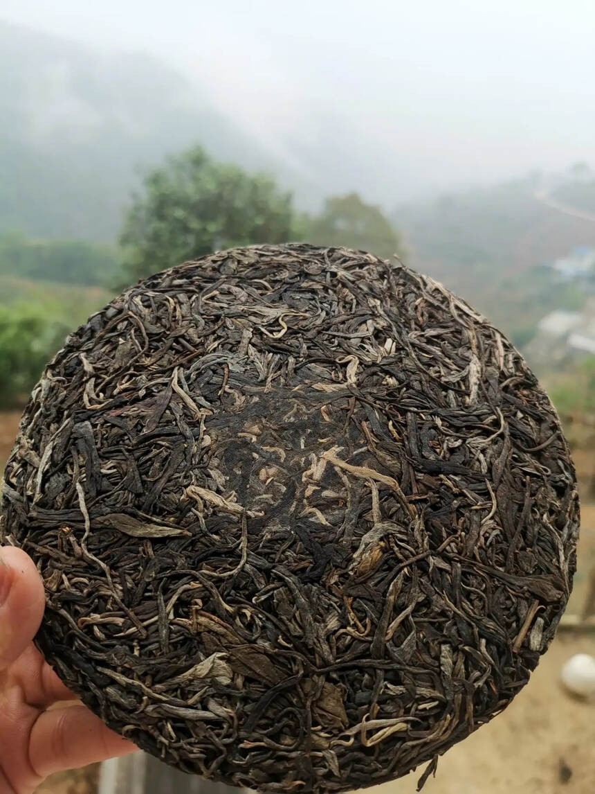 2017年那罕古树饼茶。点赞评论送茶样品尝。#普洱茶