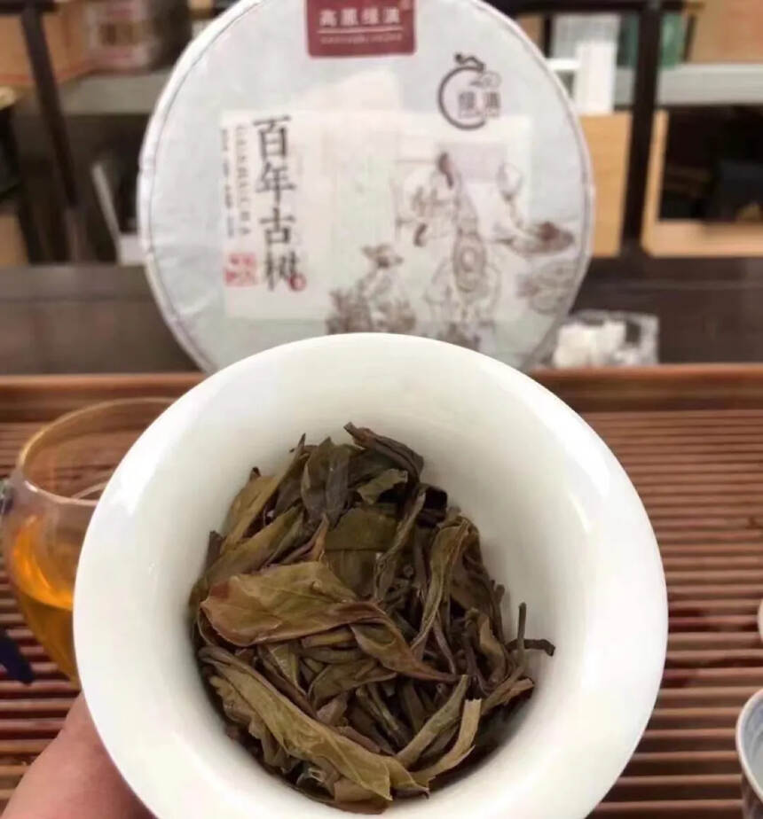 『绿滇』冰岛特制百年古树茶，精选勐库冰岛产区海拔15