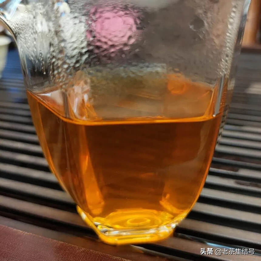 02年凤庆香竹箐茶王树，老粽包