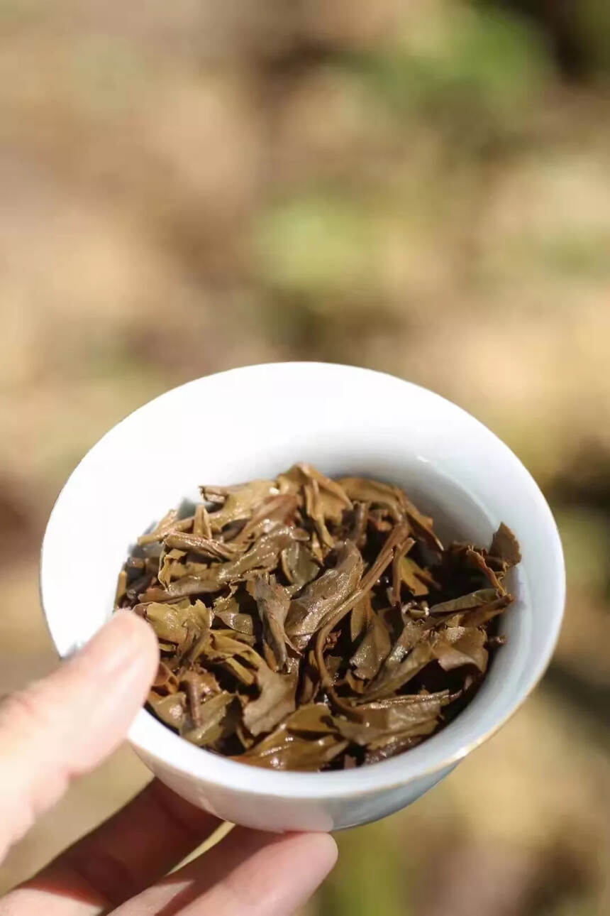 2005年首批马帮进京纪念饼
用料上等佳品，做工精细