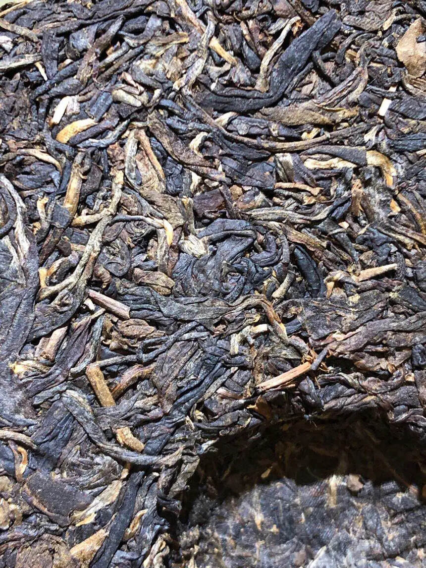 98年三棵绿大树老生茶，
布朗古树纯料！#普洱茶#