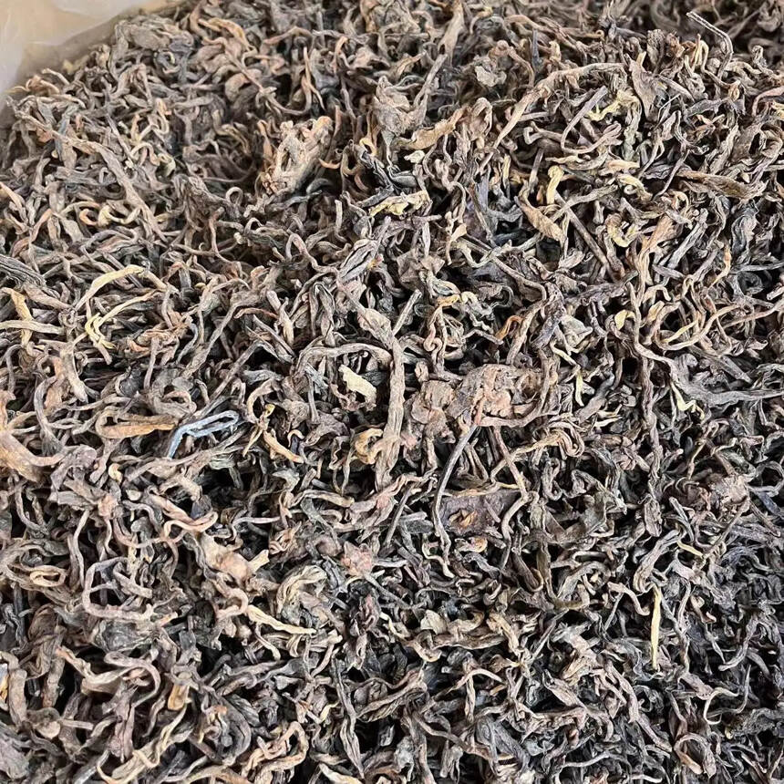 2019年老挝边境高杆茶发酵。点赞评论送茶样品试喝。