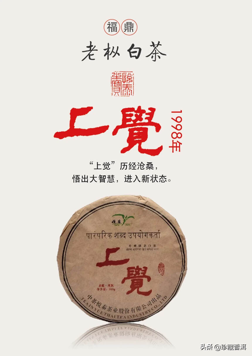 悦泰老枞白茶“上觉”，作为98年“天年”级（原“丹药