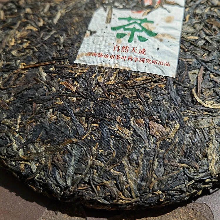 临沧市级茶科所-健身牌！自然天成大雪山！原始的早春银