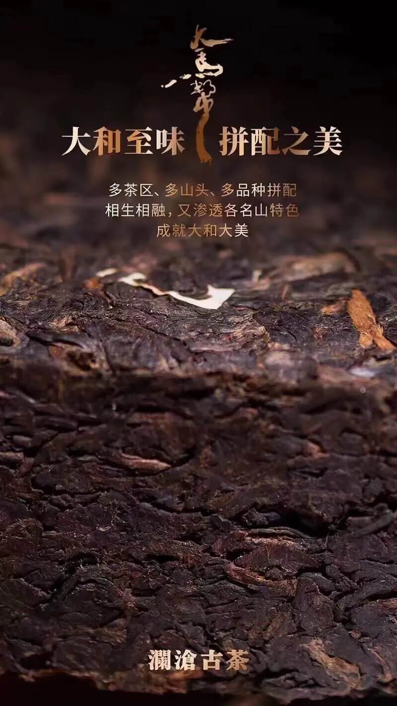 澜沧古茶|2019年第二代大马帮熟茶规格：125g/