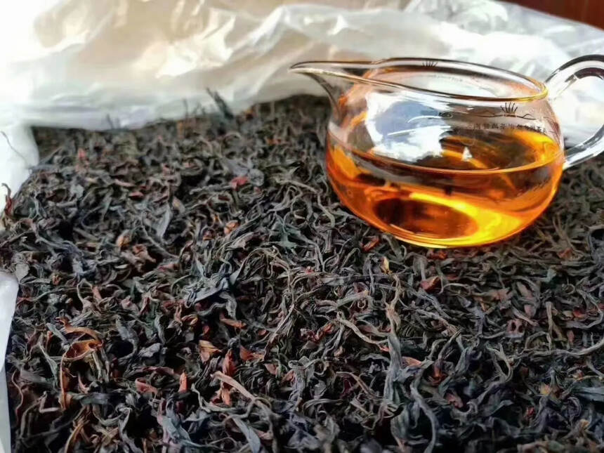 严选新茶：云南大雪山野生古树红茶，真正千年以上的古茶