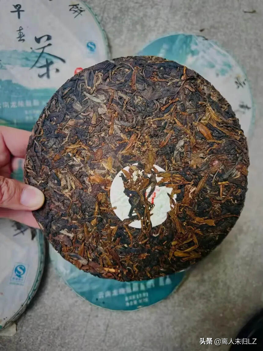 2008年早春茶357g／片，84片／件，螃蟹脚散面