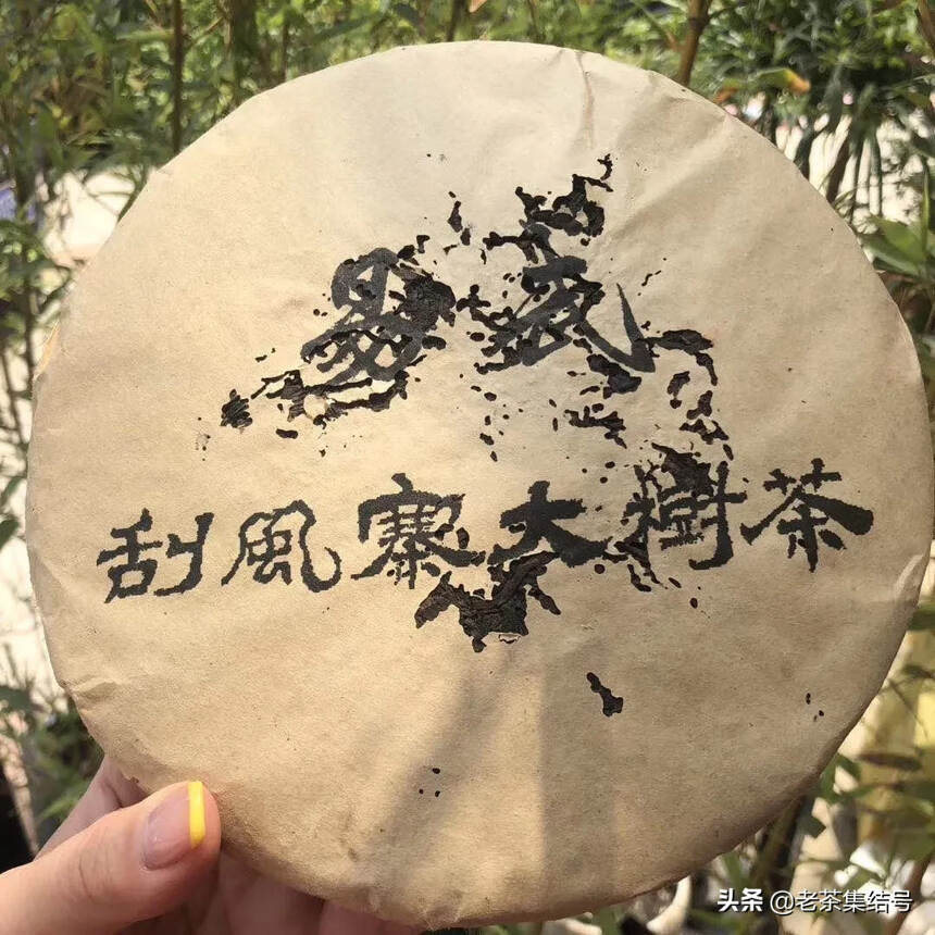 99年干仓老茶
易武刮风寨大树茶