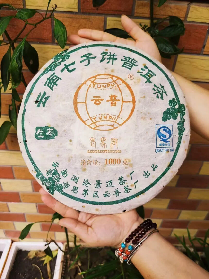 2007年老马帮云普 景迈茶厂1000克生饼
一口料
