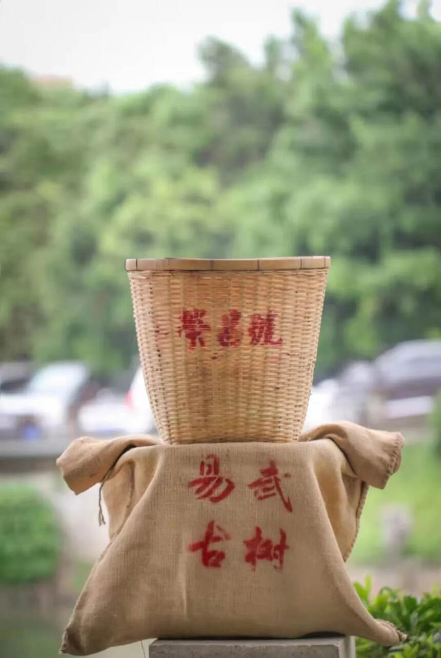 93年荣昌号—【易武古树茶】生茶。#普洱茶# #你觉