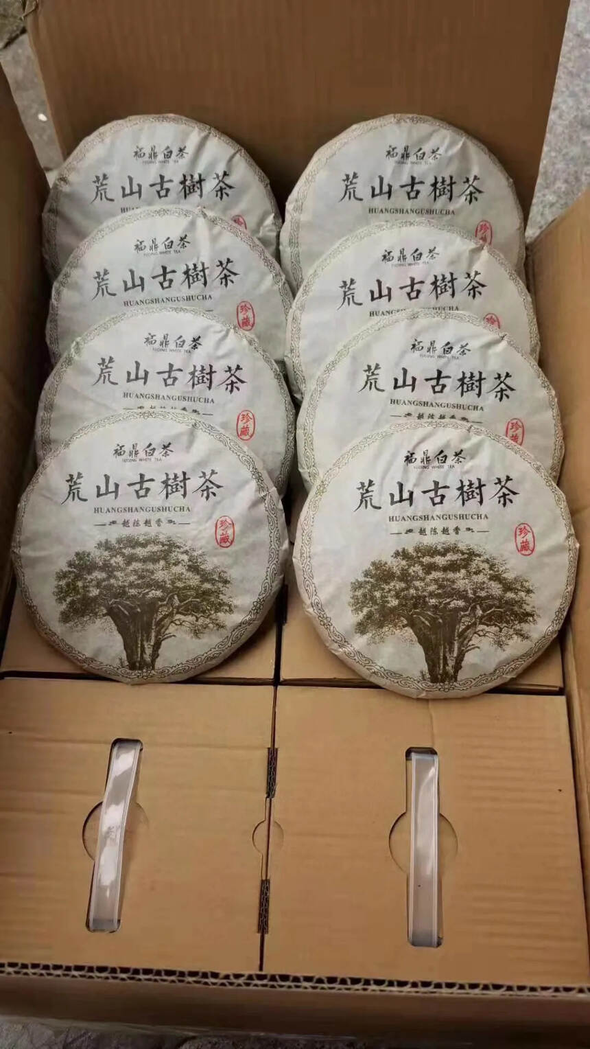 2016年荒山白茶古树茶，一提八片 一件六提支持散片