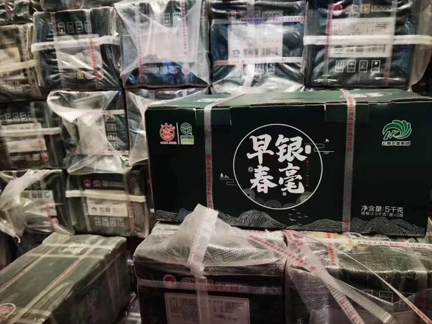 八角亭2021年普洱茶十大名品早春银毫还有一点点，高