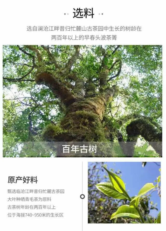 勐傣茶厂最高端的昔归茶，2019年357克生茶
精选