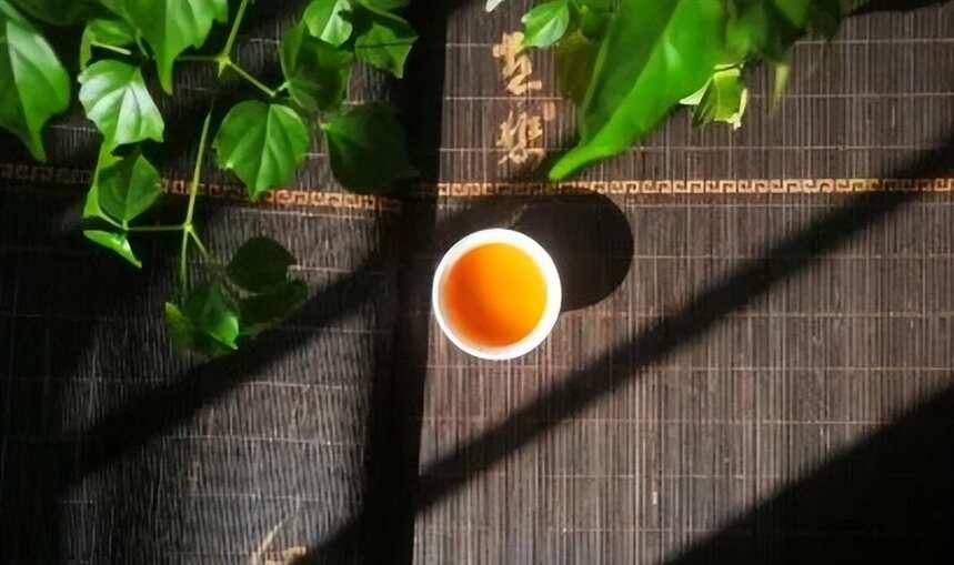 何为白露茶？“要喝茶，秋白露”，这几个优点，让你爱上喝秋茶