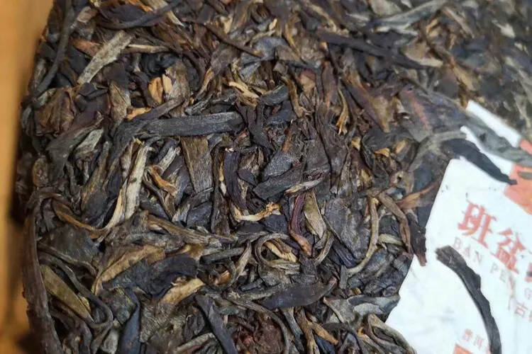 2013年带有微微传神的烟香的班盆古树茶，霸气十足，