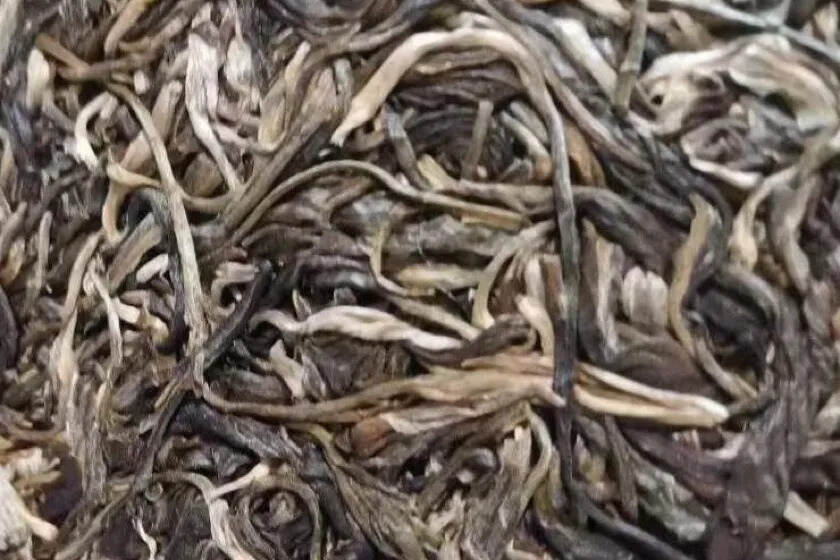 2016年头春：班章古茶园古树茶，重量200克，一提